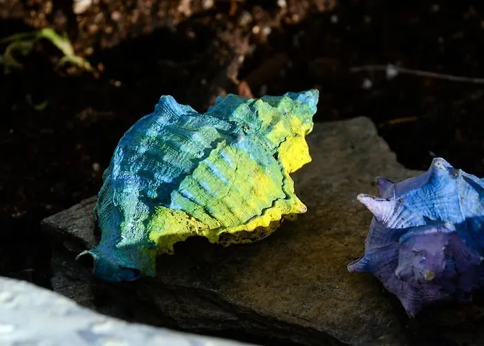 Sunset Elena Semesterbostad *