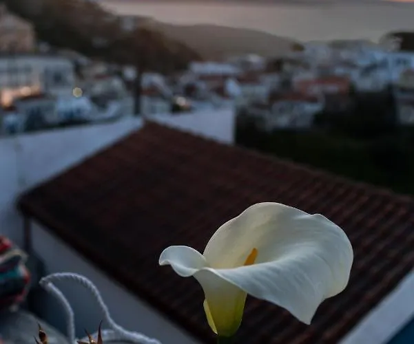 Sunset Elena Semesterbostad Ioulis